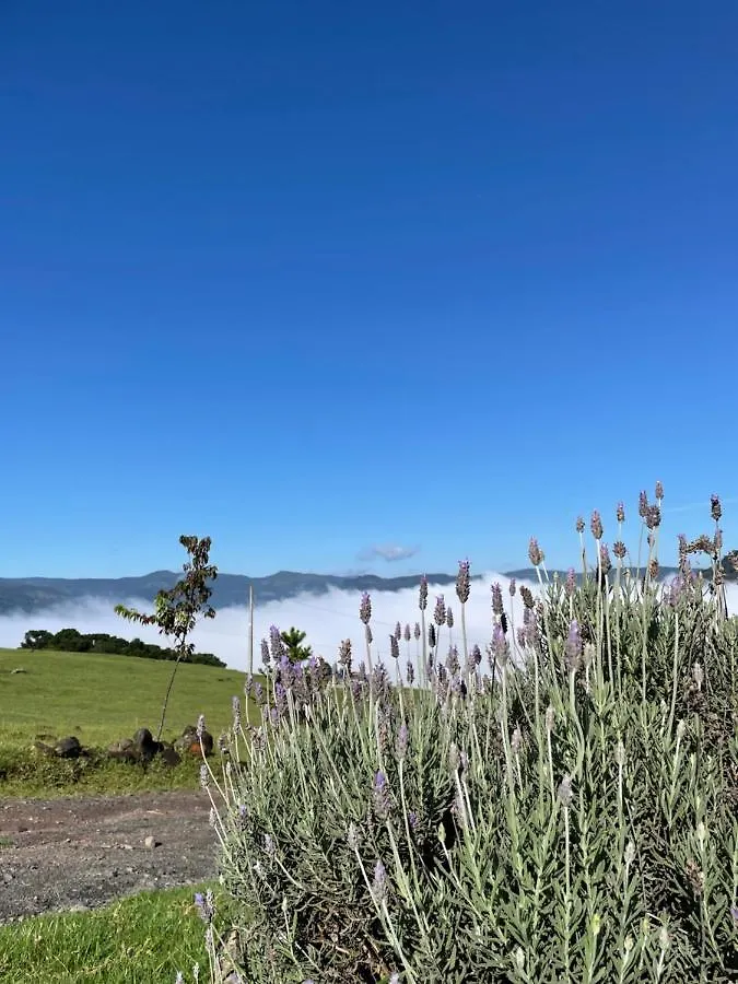 Pousada Colina Dos Ventos - Cabana Alpha Urubici Domek alpejski